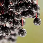 Functional infusions