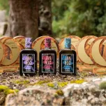 PONS JANIROC USDA Organic Lecciana Extra Virgin Olive Oil