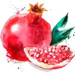POMANOX®: POMEGRANATE FRUIT EXTRACT