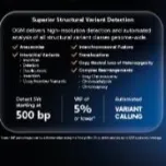 Bionano Optical Genome Mapping