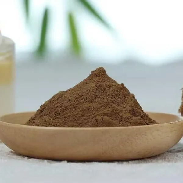Organic Lion's Mane Extract 8:1