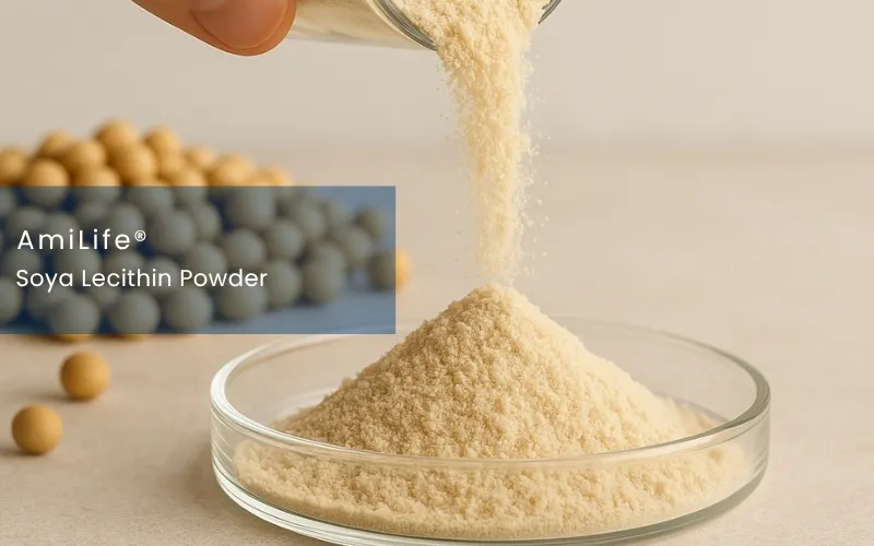 De-oiled Soya & Sunflower Powder