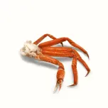 Snow crab