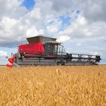 MASSEY FERGUSON | Colheitadeiras Axiais Draper