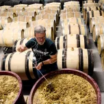 Verdejo Rueda Organic