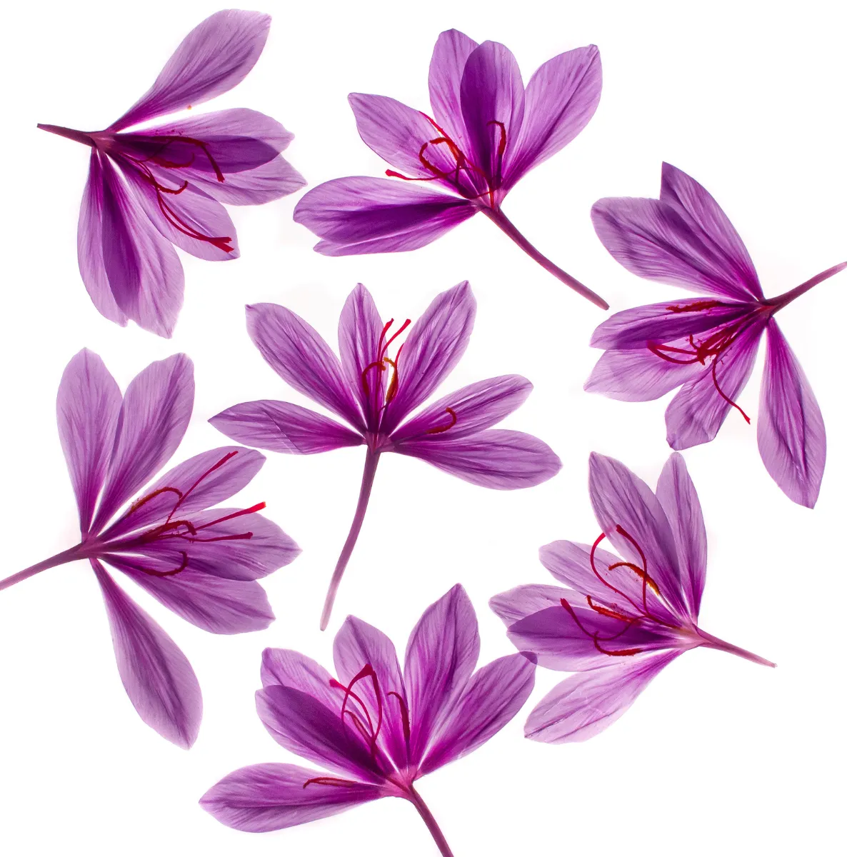 Safr’inside™ - patented & clinically tested saffron extract