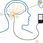 tVNS® Transcutaneous Auricular Vagus Nerve Stimulation Device