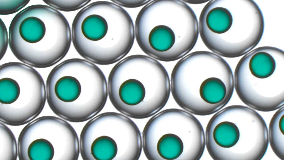 Emulsification and Encapsulation Technology