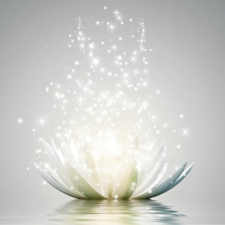 EXCEPTIONHYAL® BLOSSOM