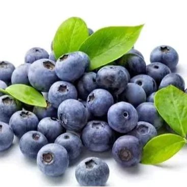 Blueberry Fruit Extract