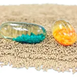 Sustained Release Micro Beads