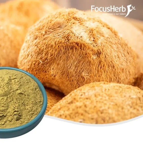 Organic Lions Mane Extract