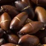 Baru nut
