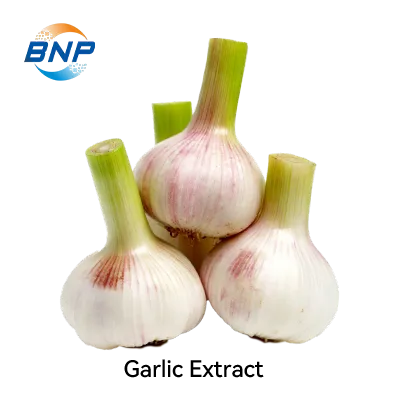 Garlic Extract