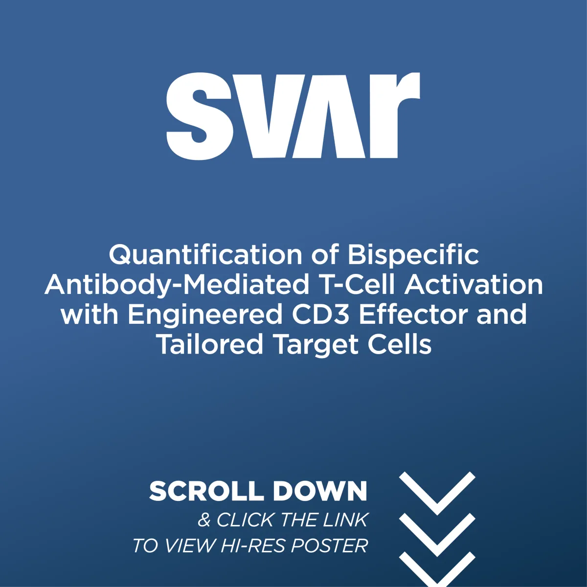 Quantification of Bispecific Antibody-Mediated T-Cell Activation with Engineered CD3 Effector and Tailored Target Cells