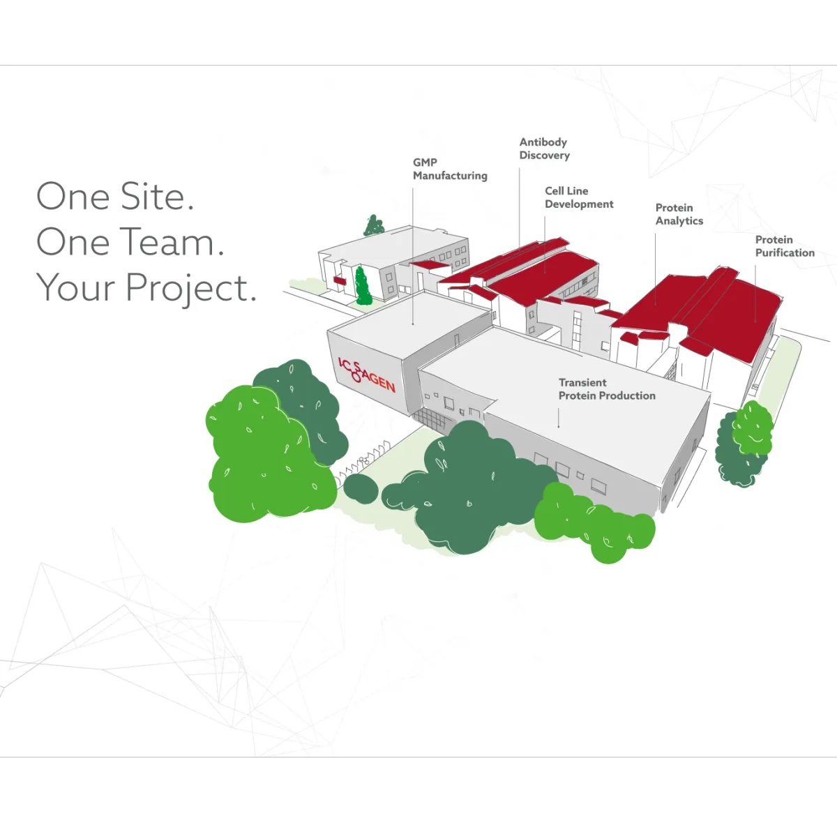 CRDMO Concept & Benefit