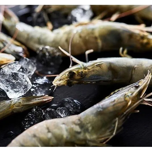 King Prawn Steambags