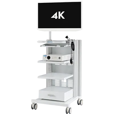 4K Integrated Endoscopic Camera System