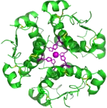 Peptide CRDMO Platform