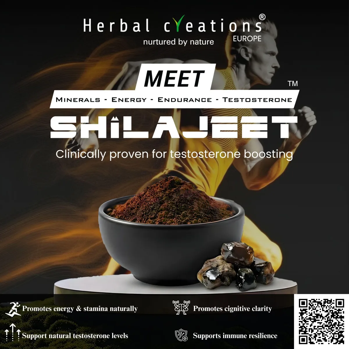 MEET SHILAJEET