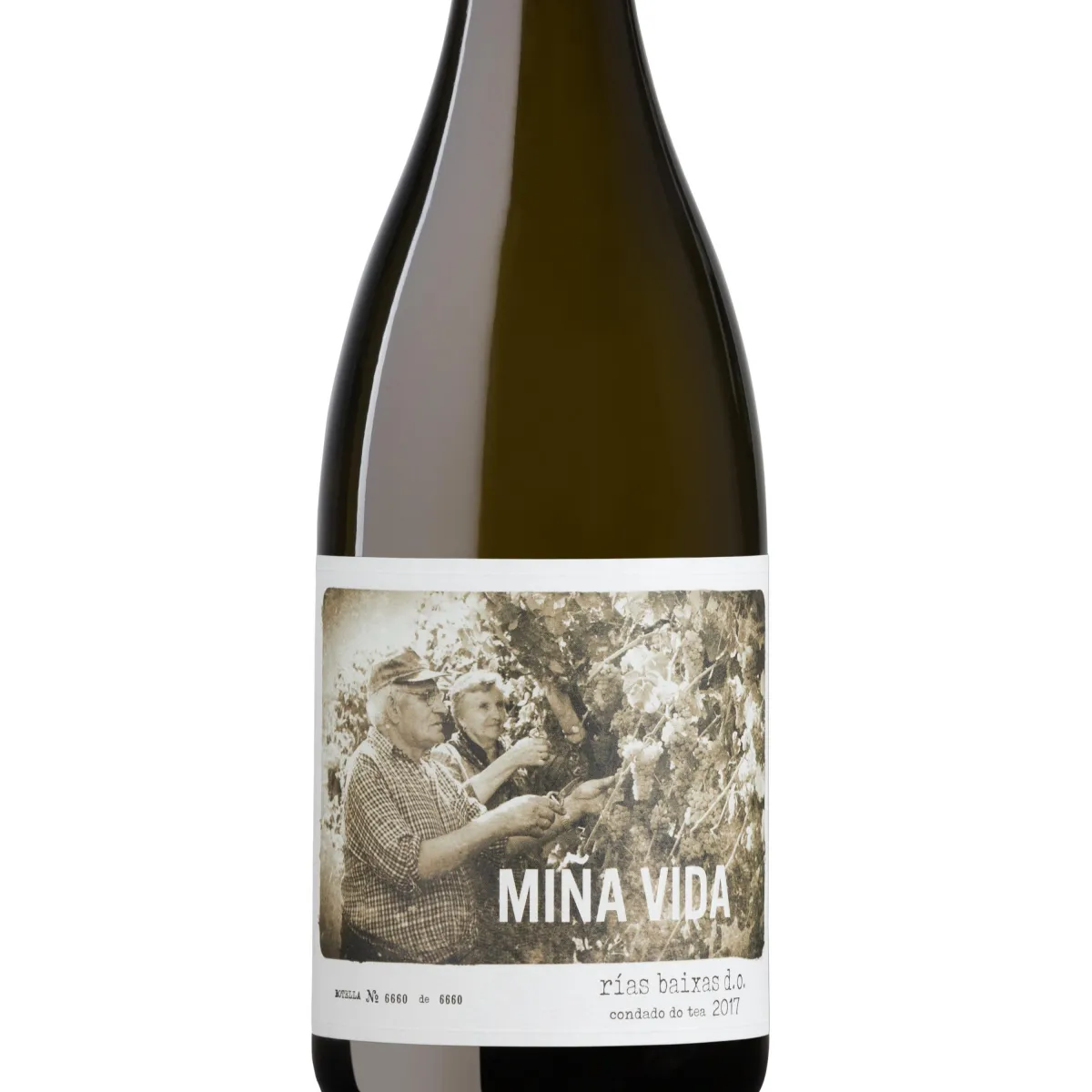 MIÑA VIDA CONDADO