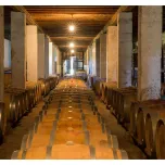 Cerejeiras Rosé