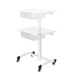 Mobile Movable Height Adjustable Desk with Storage Drawer on Wheels for School Office Use