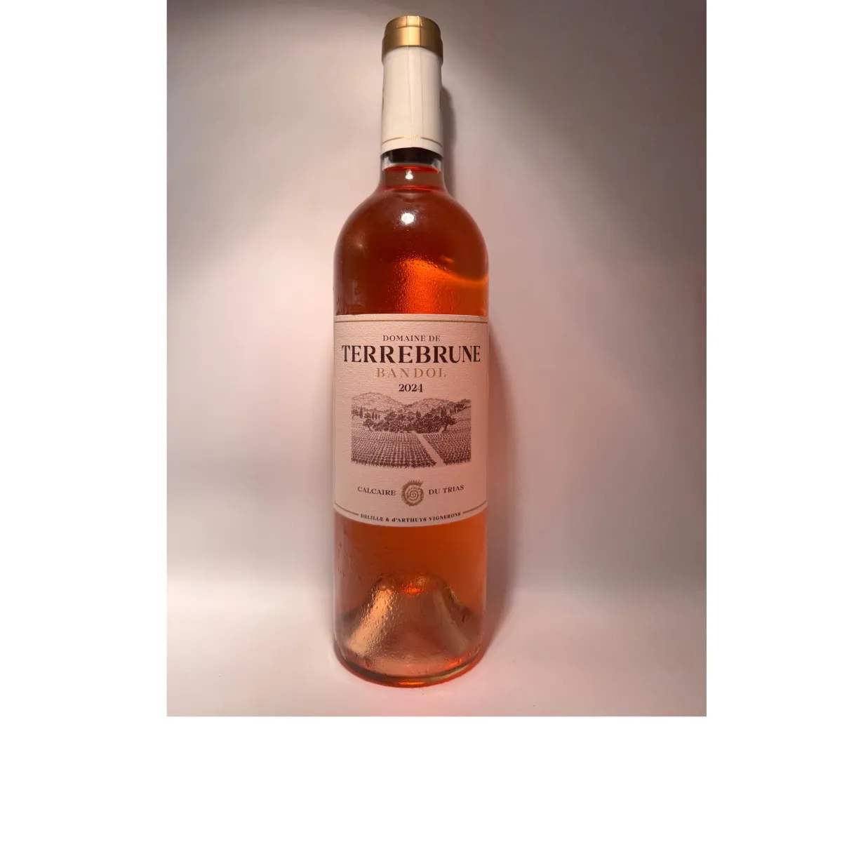 Domaine de Terrebrune Rosé