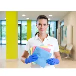 Vileda Professional cloths