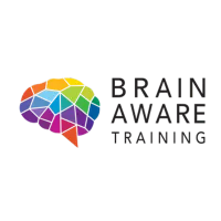 Brain Aware Training