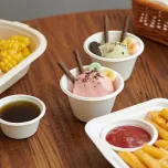 disposable plant fibre tableware