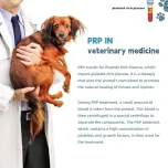 PRP for Veterinary Use