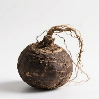 Maca Extract
