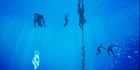 Danse des Océans / the Oceans' dance