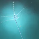 Cardiovascular products