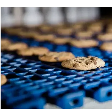 Processador de alimentos - Especialistas em Segurança de Alimentos