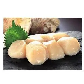 Hokkaido Scallops