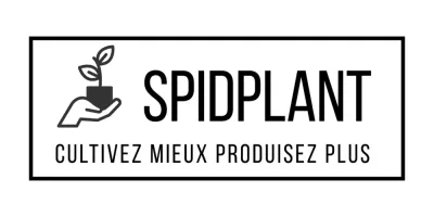 SPIDPLANT