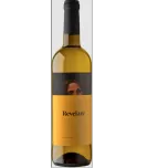 Revelare Macabeo