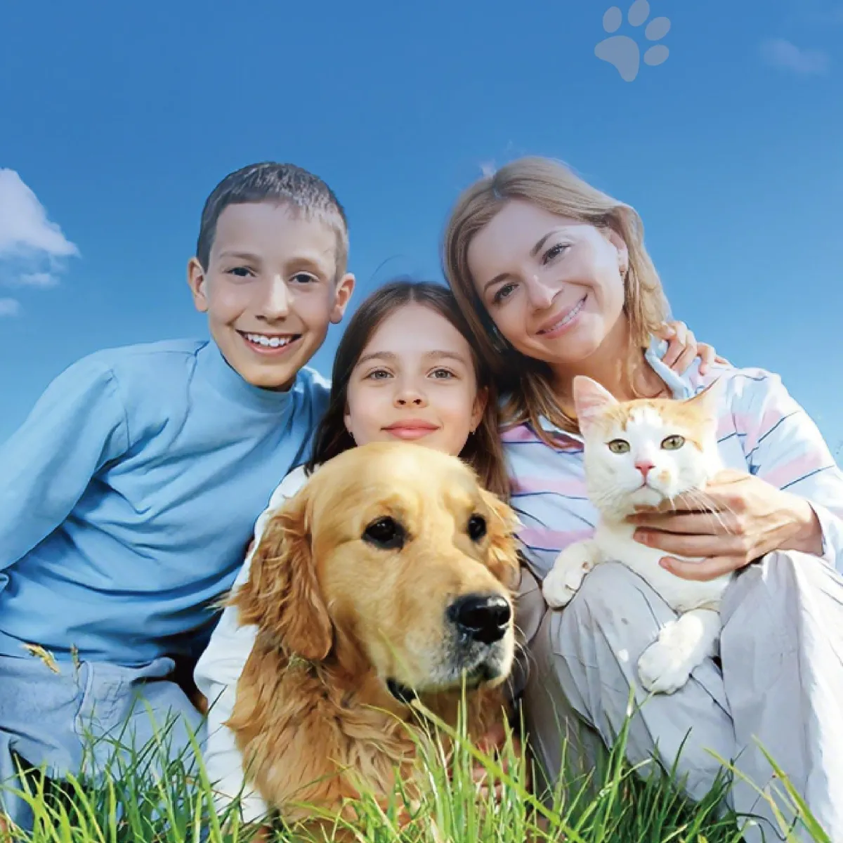 MEGAFULLPET Nutritional Ingredient Solutions for Animal Health