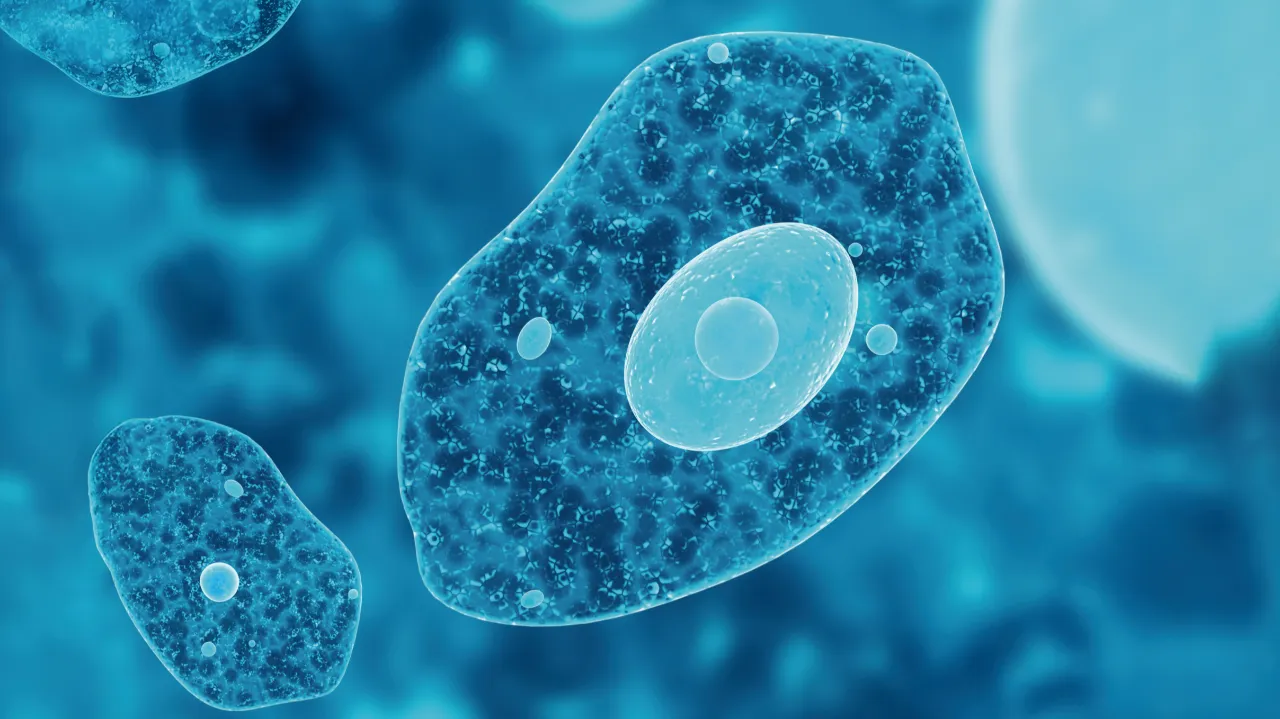 Lancement d’une innovation biocontrôle unique contre le mildiou et l’oïdium en vigne