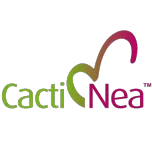 Cactinea, Detox your body!