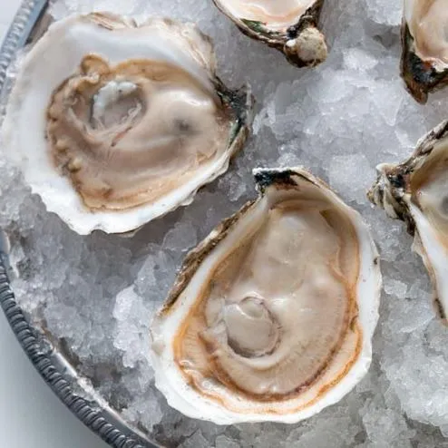 Northern East Coast Oysters