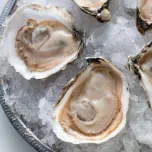 Northern East Coast Oysters