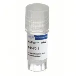 KyFect™ - AAV Transfection Reagent (14570)