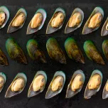 New Zealand Mussels