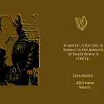 New Fragrance - New Collection - DB