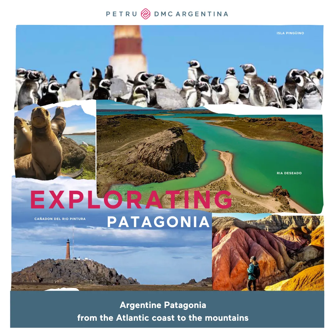 Argentine Patagonia from the Atlantic coast to the mountains