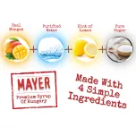 Mayer Premium Mango Syrup / Cordial