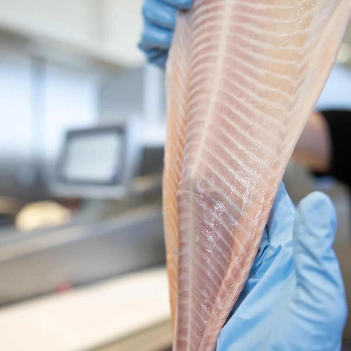 Maximum Raw Material Utilization